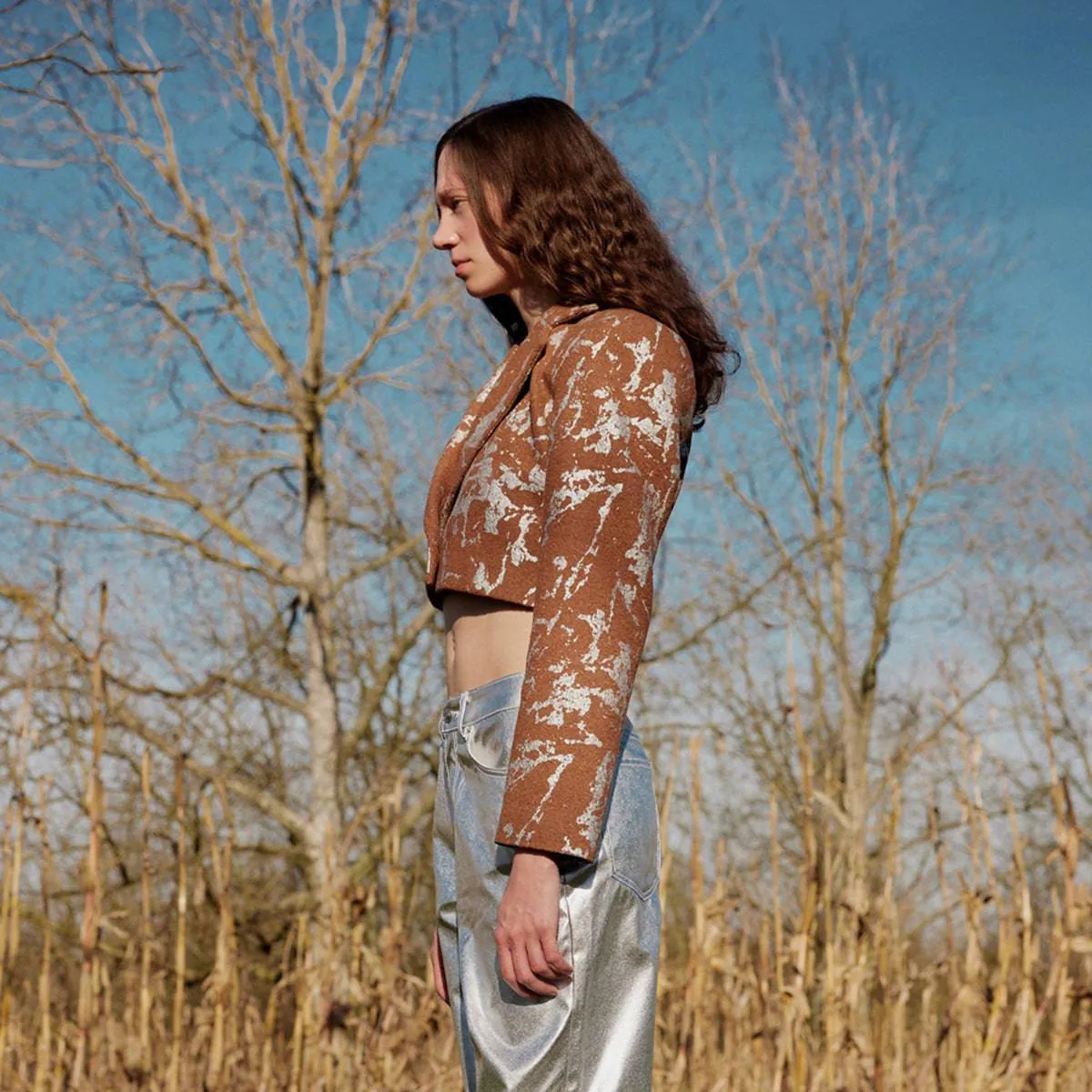 Galaxy Metallic & Brown Cropped Blazer Jacket