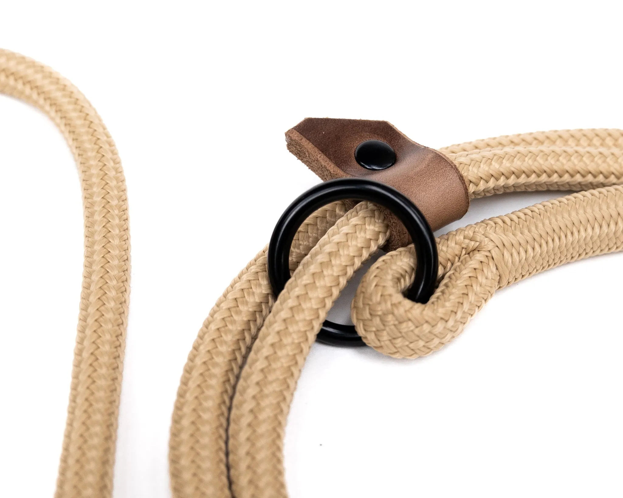 The Walk Afield - Slip Lead